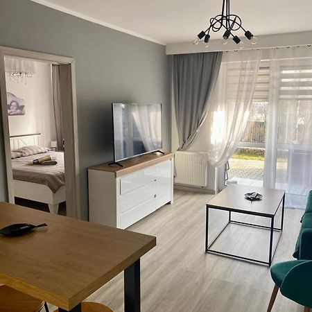 Apartament Na Skrzypka 切申 外观 照片