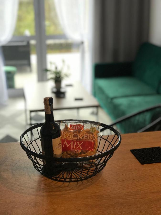 Apartament Na Skrzypka 切申 外观 照片
